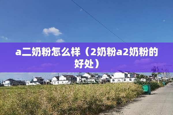 a二奶粉怎么样（**粉a**粉的好处）