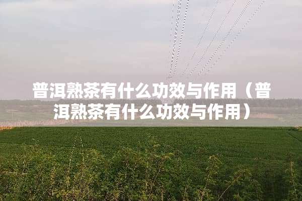 普洱熟茶有什么功效与作用（普洱熟茶有什么功效与作用）
