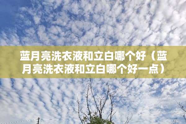 蓝月亮洗衣液和立白哪个好（蓝月亮洗衣液和立白哪个好一点）
