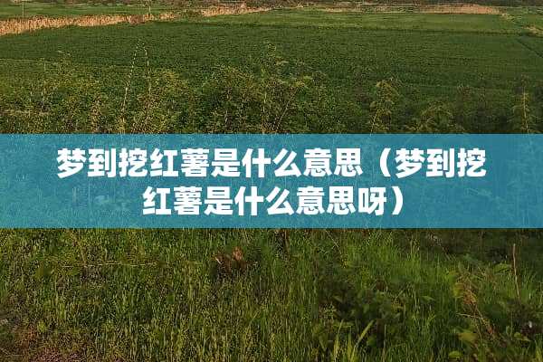梦到挖红薯是什么意思（梦到挖红薯是什么意思呀）