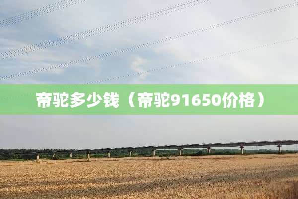帝驼多少钱（帝驼91650价格）