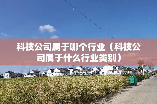 科技公司属于哪个行业（科技公司属于什么行业类别）