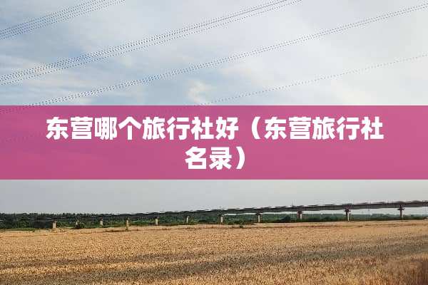 东营哪个旅行社好（东营旅行社名录）