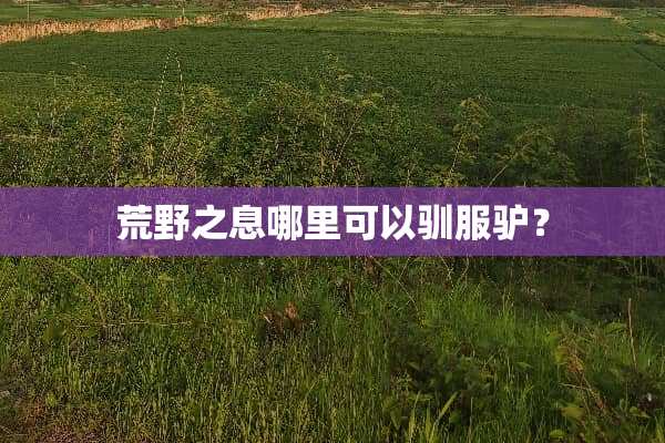 荒野之息哪里可以驯服驴？
