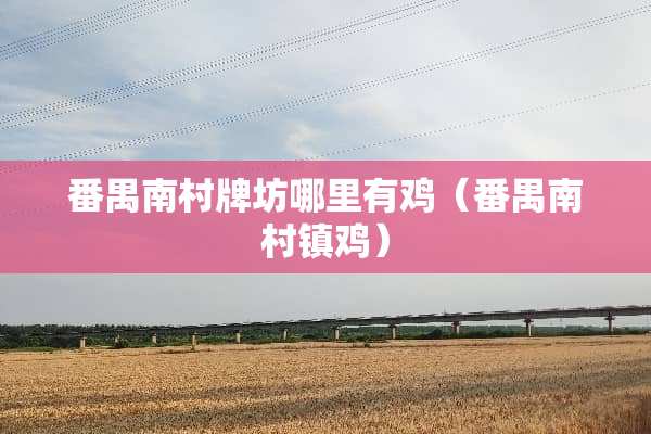 番禺南村牌坊哪里有鸡（番禺南村镇鸡）