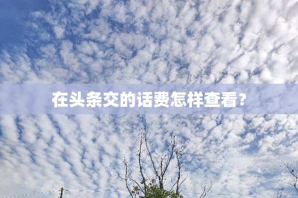 在头条交的话费怎样查看？