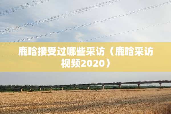 鹿晗接受过哪些采访（鹿晗采访视频2020）