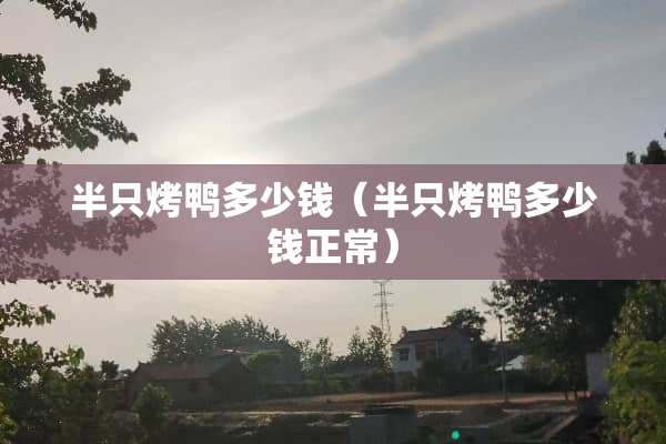 半只烤鸭多少钱（半只烤鸭多少钱正常）