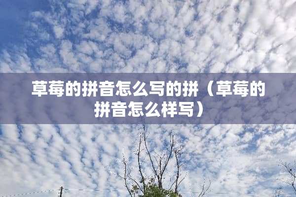 草莓的拼音怎么写的拼（草莓的拼音怎么样写）