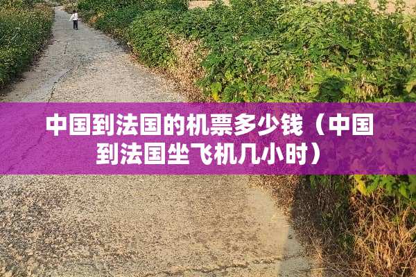 中国到法国的机票多少钱（中国到法国坐飞机几小时）