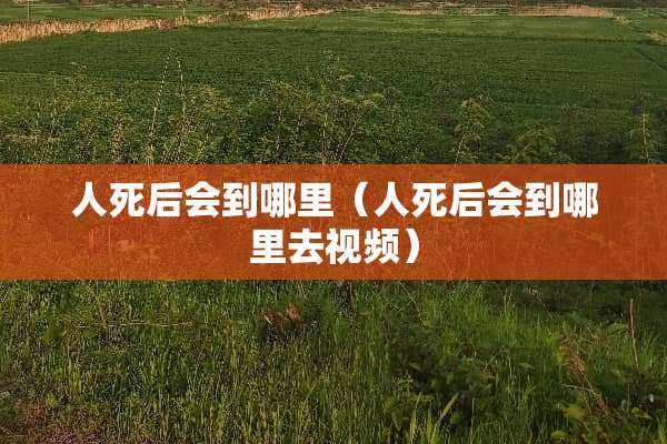 人死后会到哪里（人死后会到哪里去视频）