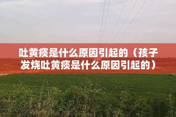 吐黄痰是什么原因引起的（孩子发烧吐黄痰是什么原因引起的）