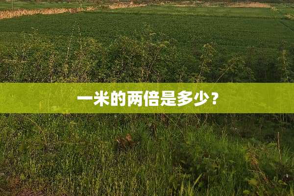 一米的两倍是多少？