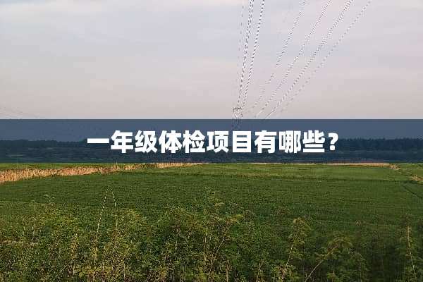 一年级体检项目有哪些？