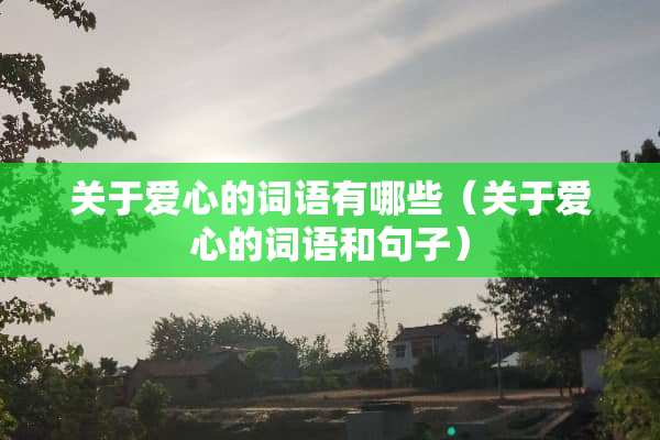 关于爱心的词语有哪些（关于爱心的词语和句子）