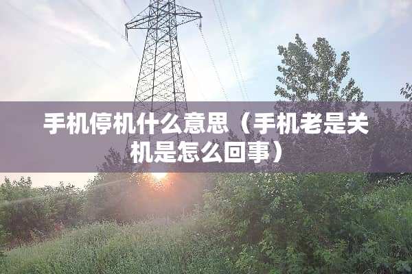 手机停机什么意思（手机老是关机是怎么回事）