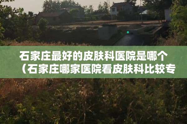 石家庄最好的皮肤科医院是哪个（石家庄哪家医院看皮肤科比较专业）
