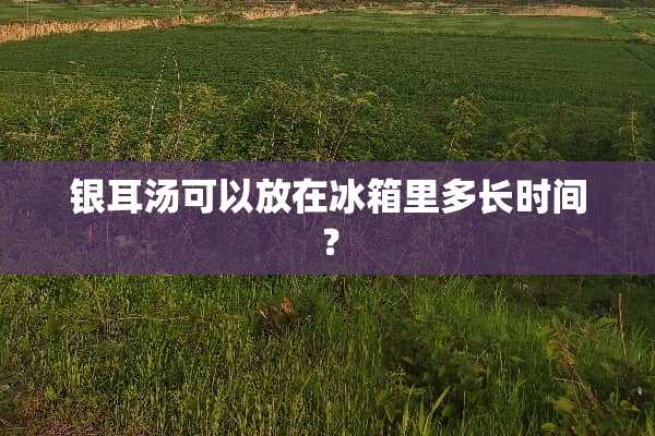 银耳汤可以放在冰箱里多长时间？