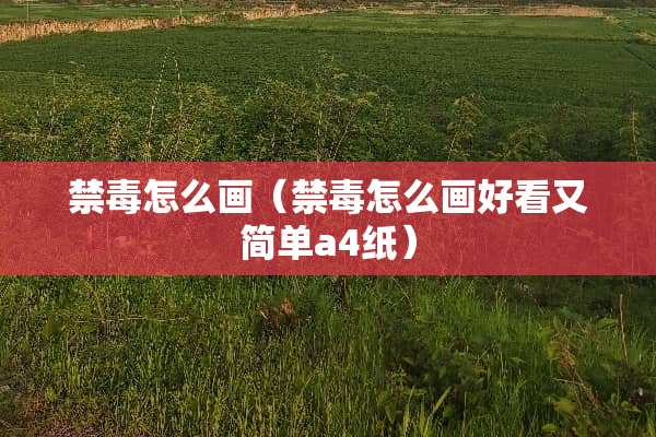 禁毒怎么画（禁毒怎么画好看又简单a4纸）