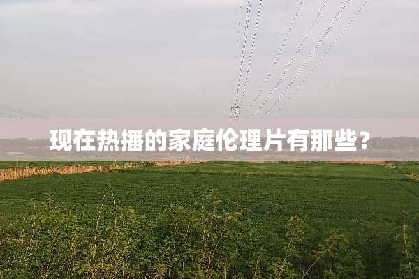 现在热播的家庭***有那些？