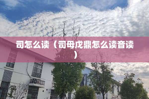 司怎么读（司母戊鼎怎么读音读）