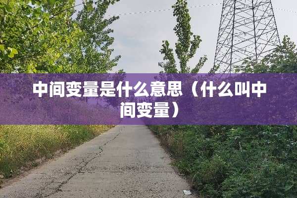 中间变量是什么意思（什么叫中间变量）