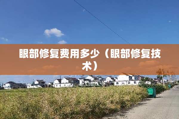 眼部修复费用多少（眼部修复技术）