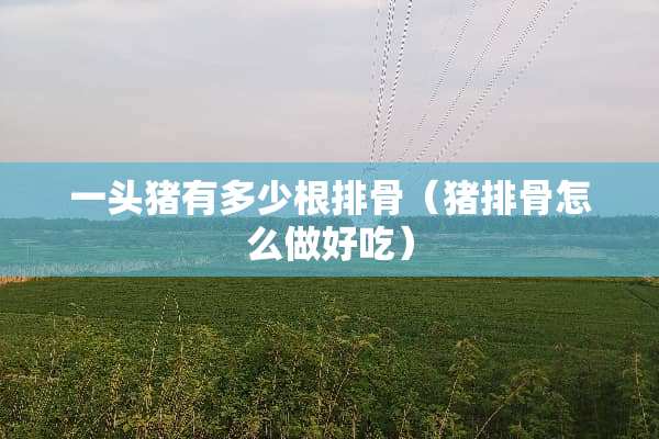 一头猪有多少根排骨（猪排骨怎么做好吃）