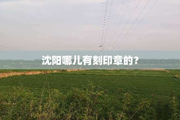 沈阳哪儿有刻印章的？