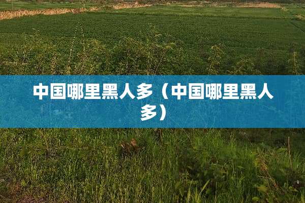 中国哪里黑人多（中国哪里黑人多）