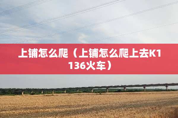 上铺怎么爬（上铺怎么爬上去K1136火车）