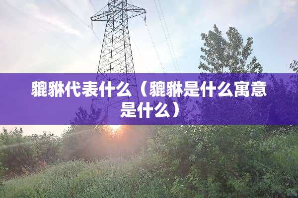 貔貅代表什么（貔貅是什么寓意是什么）