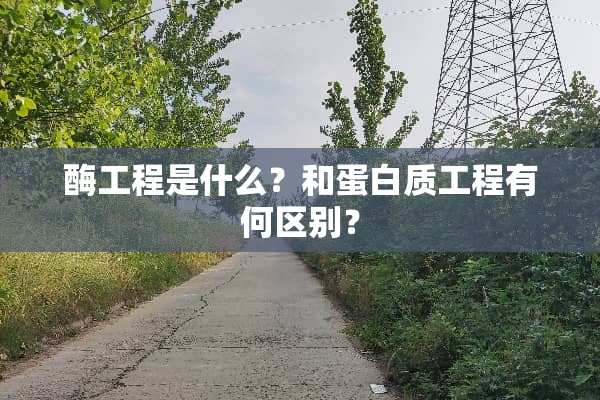 酶工程是什么？和蛋白质工程有何区别？