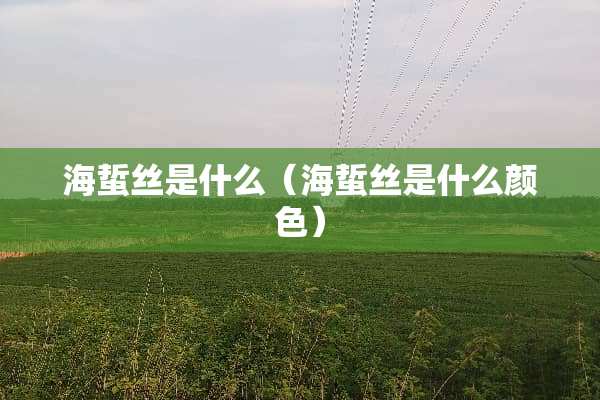 海蜇丝是什么（海蜇丝是什么颜色）