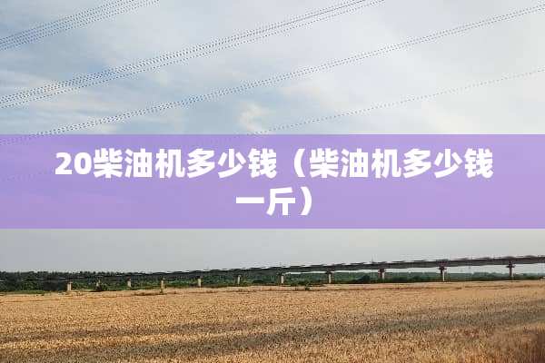 20柴油机多少钱（柴油机多少钱一斤）