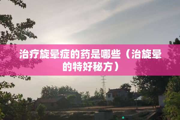 治疗旋晕症的药是哪些（治旋晕的特好秘方）
