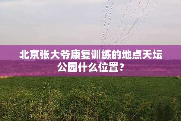 北京张大爷康复训练的地点天坛公园什么位置？