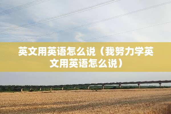 英文用英语怎么说（我努力学英文用英语怎么说）