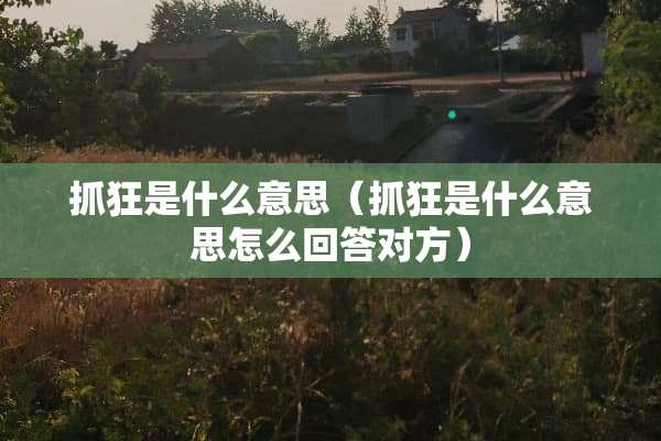 抓狂是什么意思（抓狂是什么意思怎么回答对方）