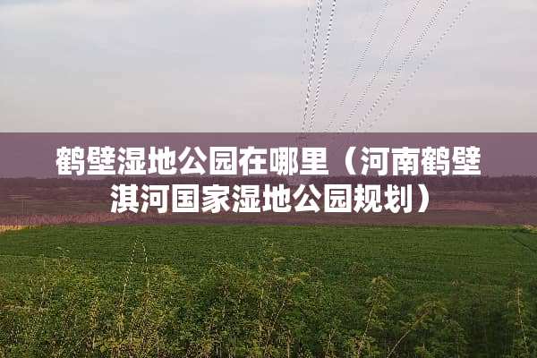 鹤壁湿地公园在哪里（河南鹤壁淇河国家湿地公园规划）