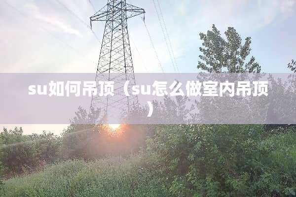 su如何吊顶（su怎么做室内吊顶）