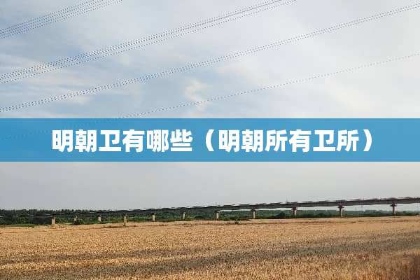 明朝卫有哪些（明朝所有卫所）