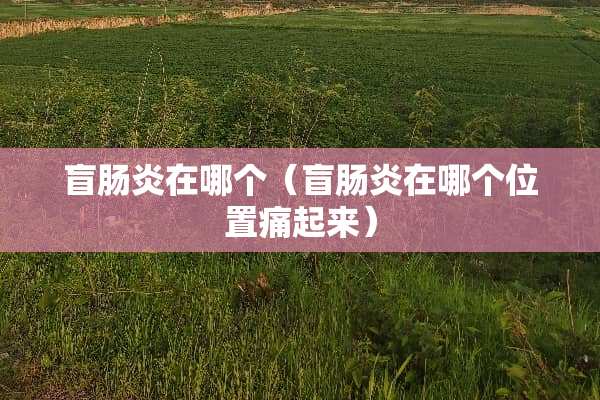 盲肠炎在哪个（盲肠炎在哪个位置痛起来）