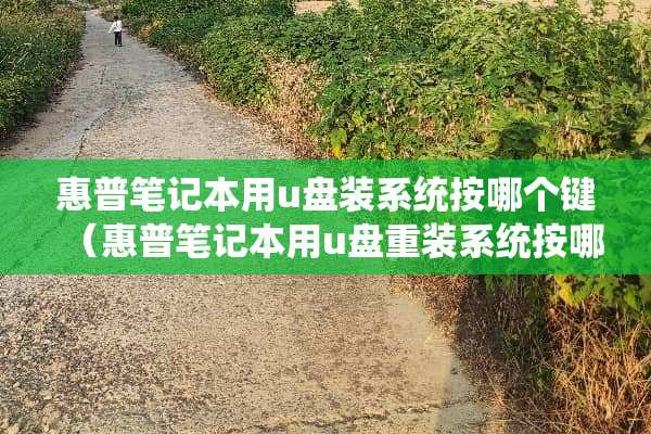 惠普笔记本用u盘装系统按哪个键（惠普笔记本用u盘重装系统按哪个键）