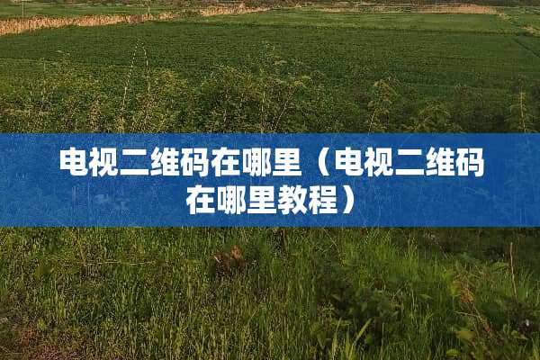 电视二维码在哪里（电视二维码在哪里教程）