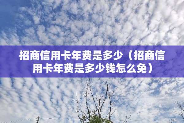 招商***年费是多少（招商***年费是多少钱怎么免）