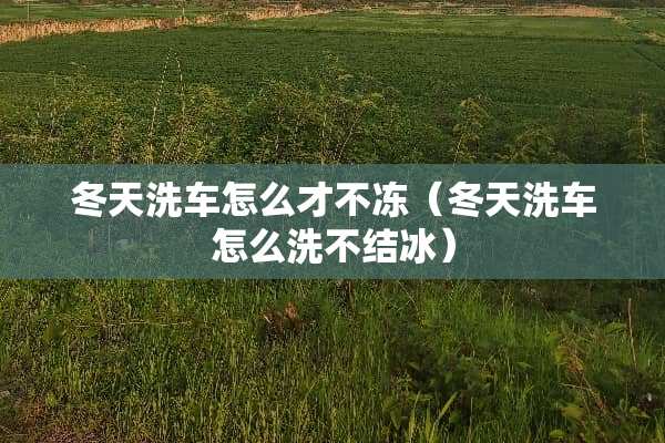 冬天洗车怎么才不冻（冬天洗车怎么洗不结冰）