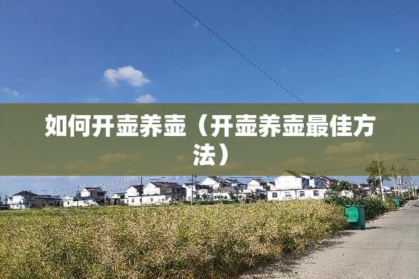 如何开壶养壶（开壶养壶最佳方法）