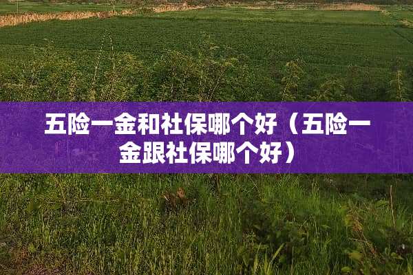 五险一金和社保哪个好（五险一金跟社保哪个好）