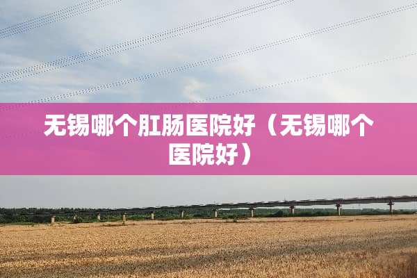 无锡哪个*肠医院好（无锡哪个医院好）